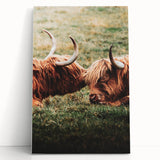 Highland Cattle Close-up Art, Rustic Farmhouse Wall Decor