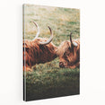 Highland Cattle Close-up Art, Rustic Farmhouse Wall Decor