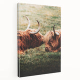 Highland Cattle Close-up Art, Rustic Farmhouse Wall Decor