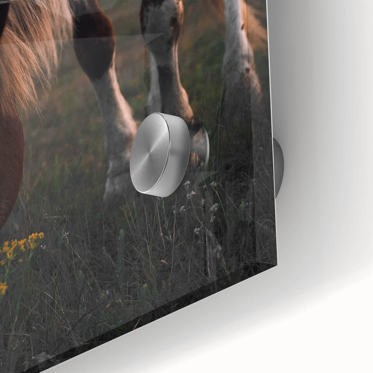 Rustic Grazing Horse Wall Art – Farmhouse Decor with Natural Charm