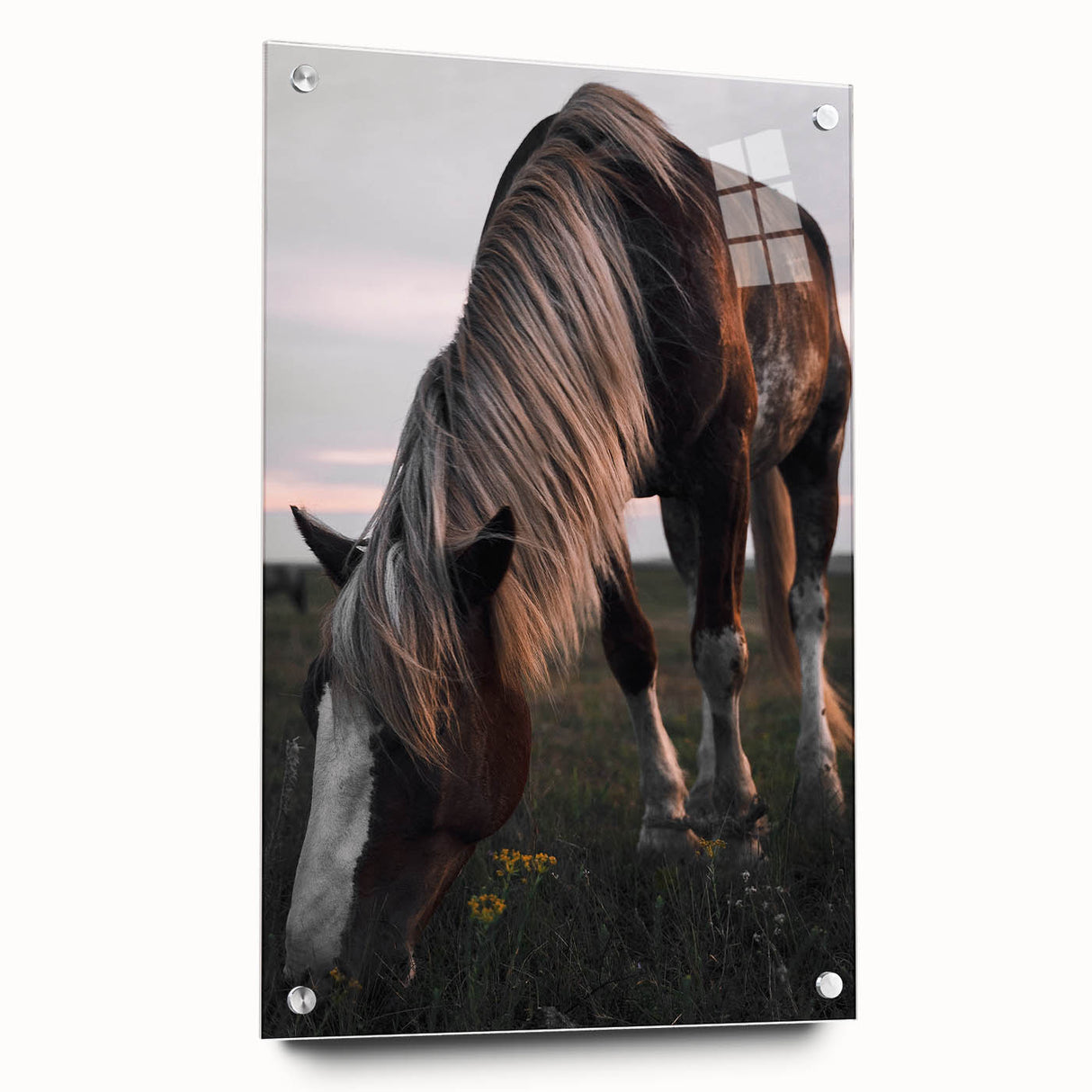 Rustic Grazing Horse Wall Art – Farmhouse Decor with Natural Charm