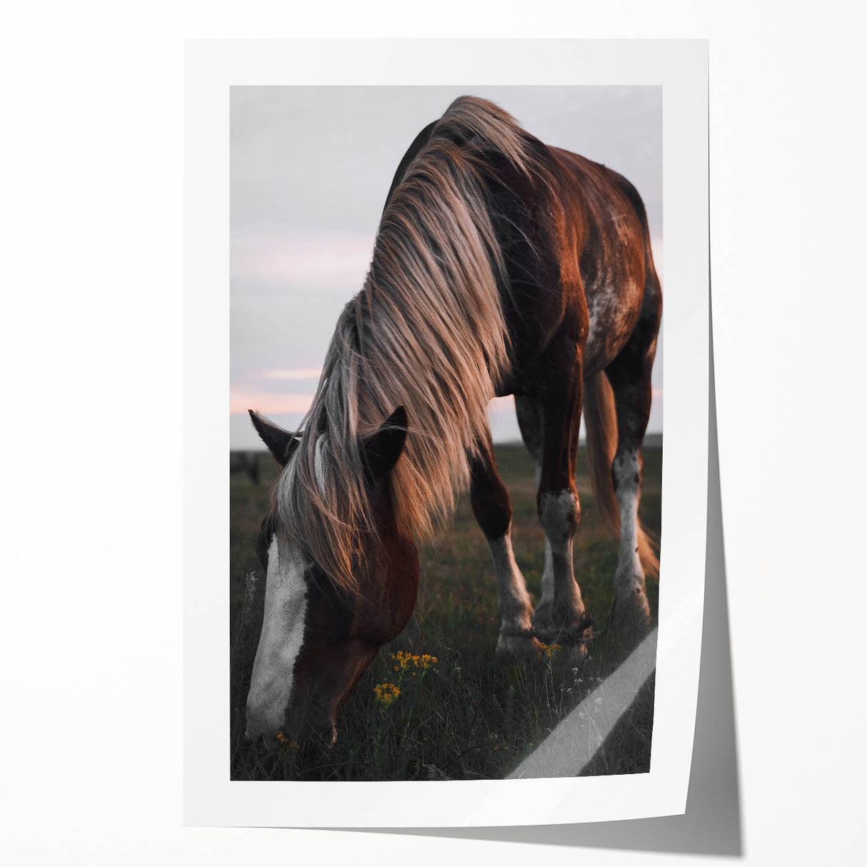 Rustic Grazing Horse Wall Art – Farmhouse Decor with Natural Charm