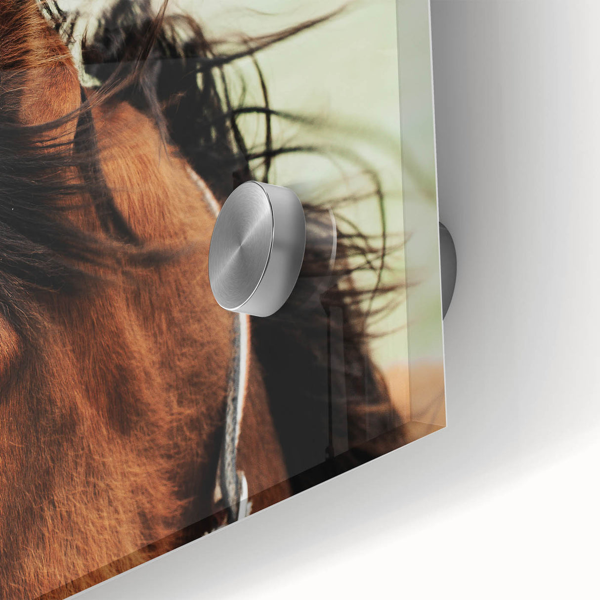 Rustic Horse Close-Up Wall Art – Farmhouse Decor with Natural Elegance