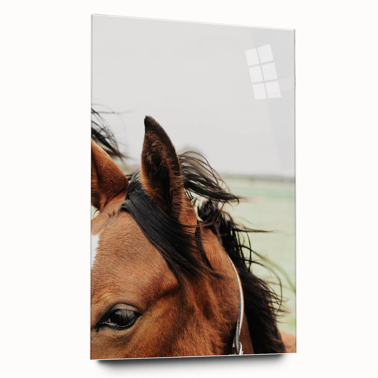 Rustic Horse Close-Up Wall Art – Farmhouse Decor with Natural Elegance