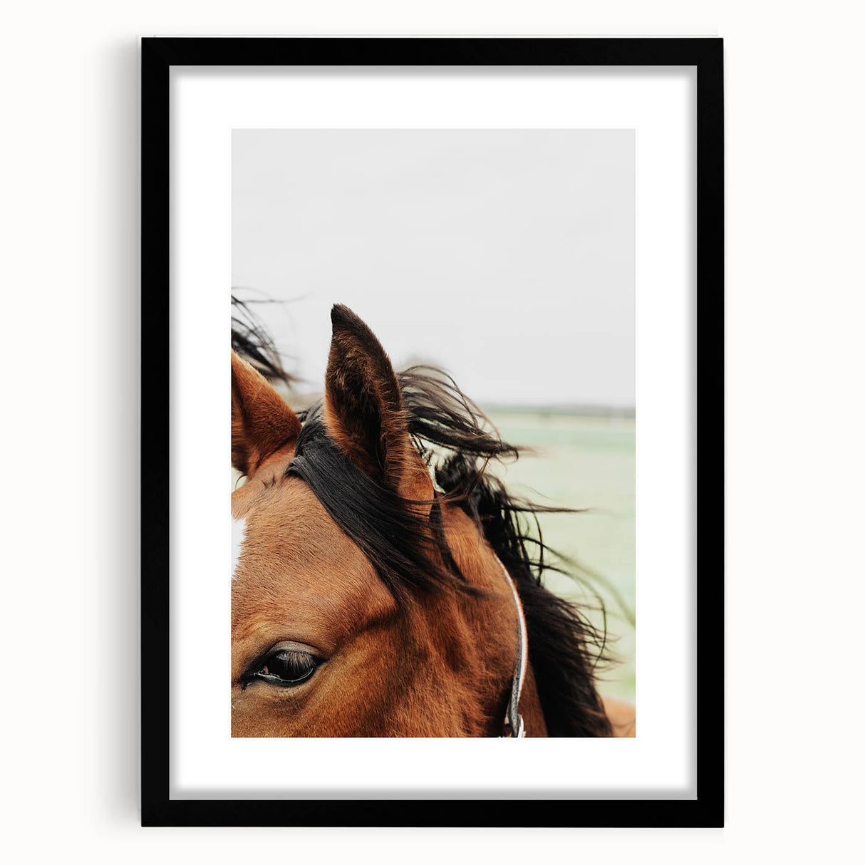 Rustic Horse Close-Up Wall Art – Farmhouse Decor with Natural Elegance
