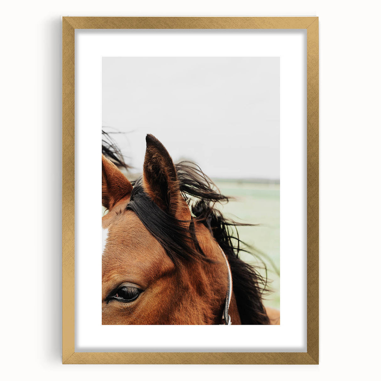 Rustic Horse Close-Up Wall Art – Farmhouse Decor with Natural Elegance