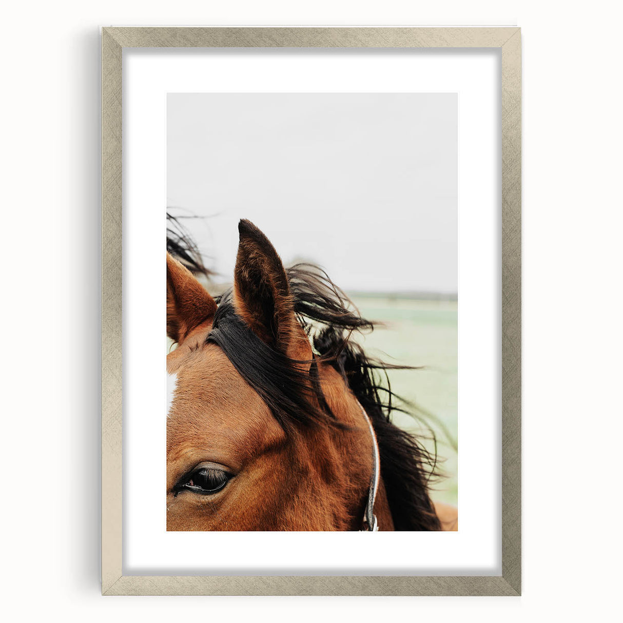 Rustic Horse Close-Up Wall Art – Farmhouse Decor with Natural Elegance