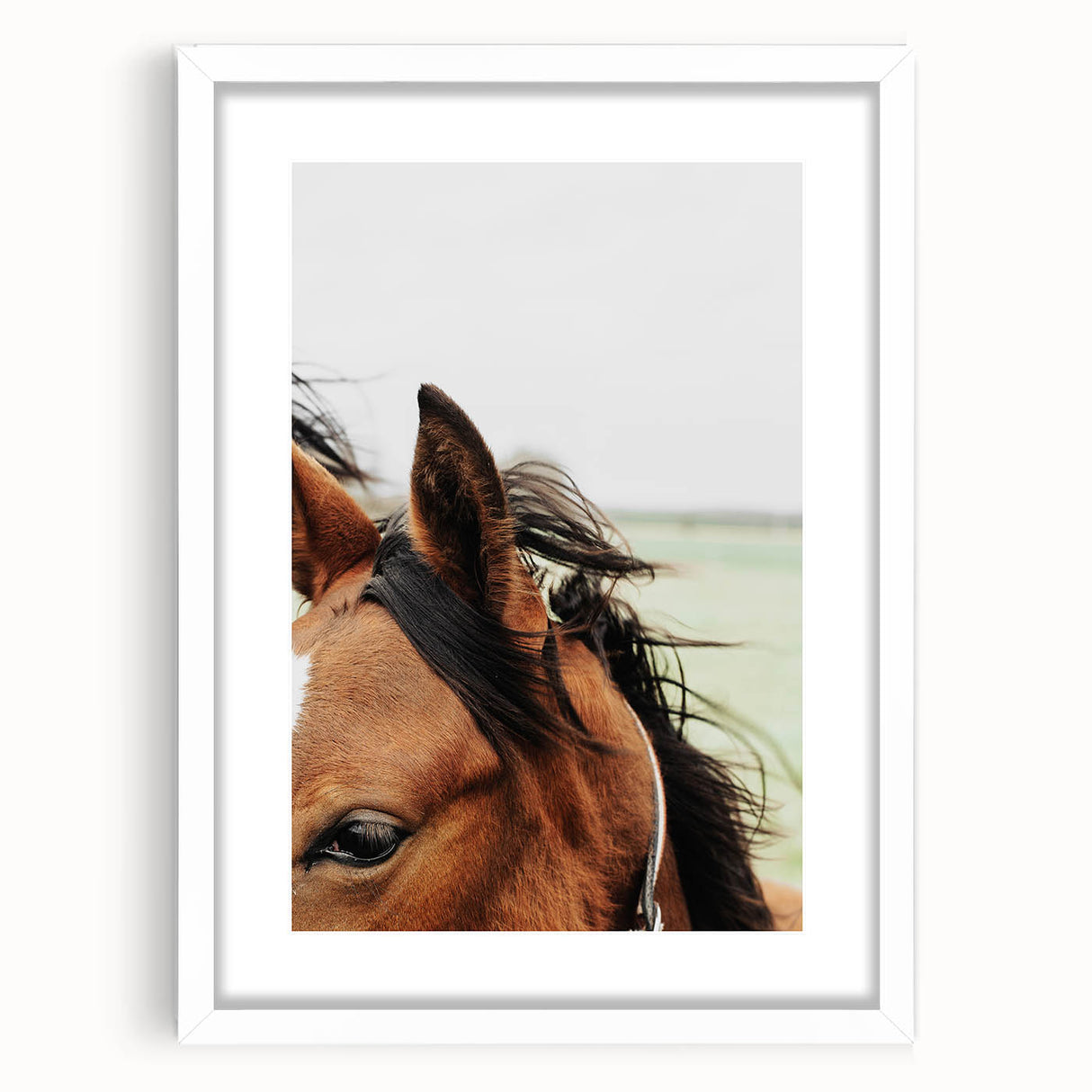 Rustic Horse Close-Up Wall Art – Farmhouse Decor with Natural Elegance