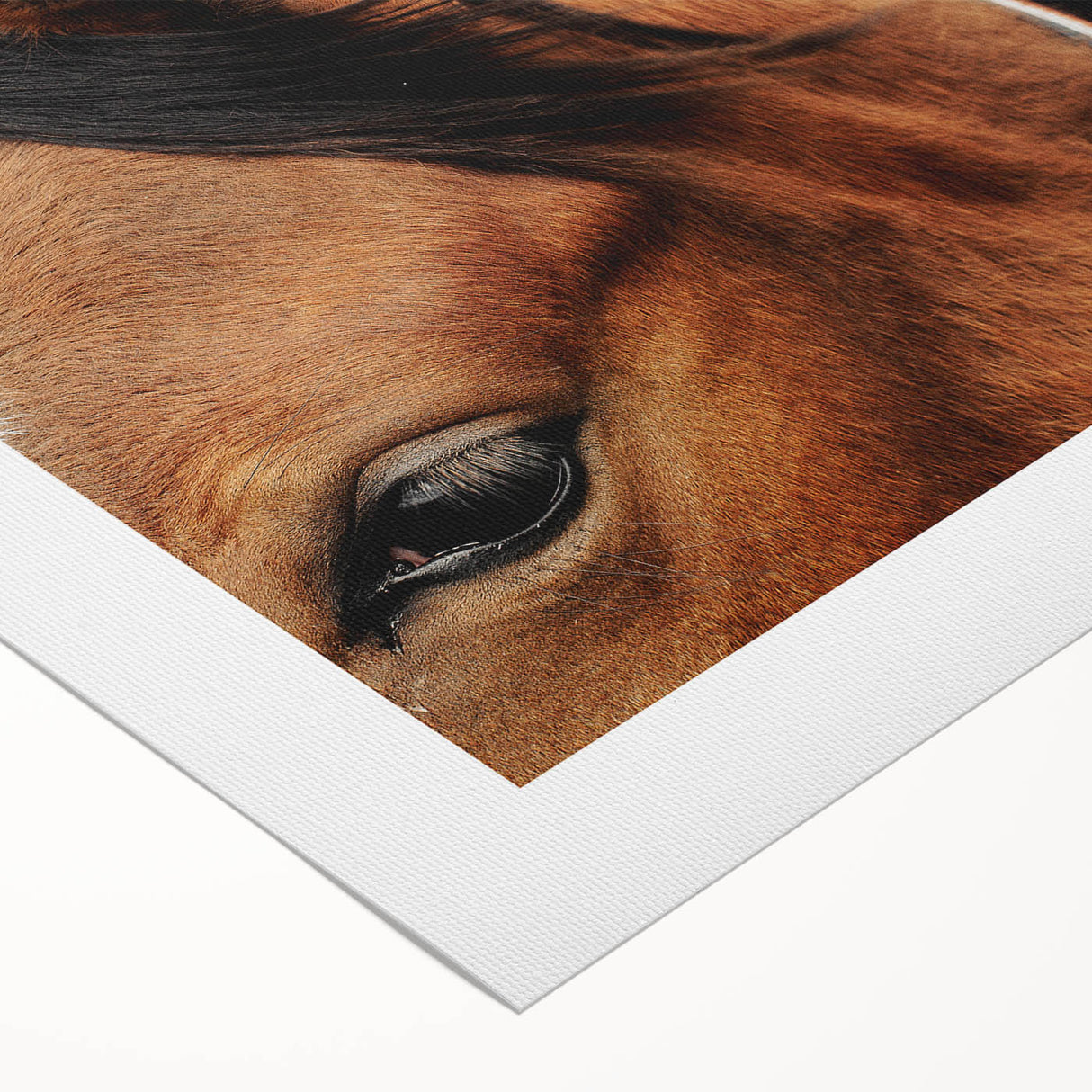 Rustic Horse Close-Up Wall Art – Farmhouse Decor with Natural Elegance