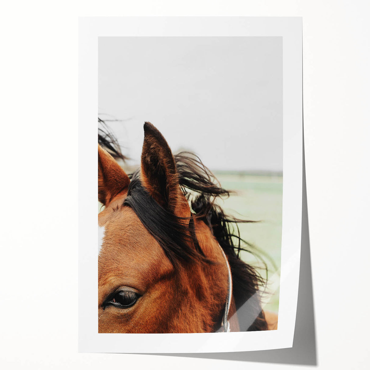Rustic Horse Close-Up Wall Art – Farmhouse Decor with Natural Elegance
