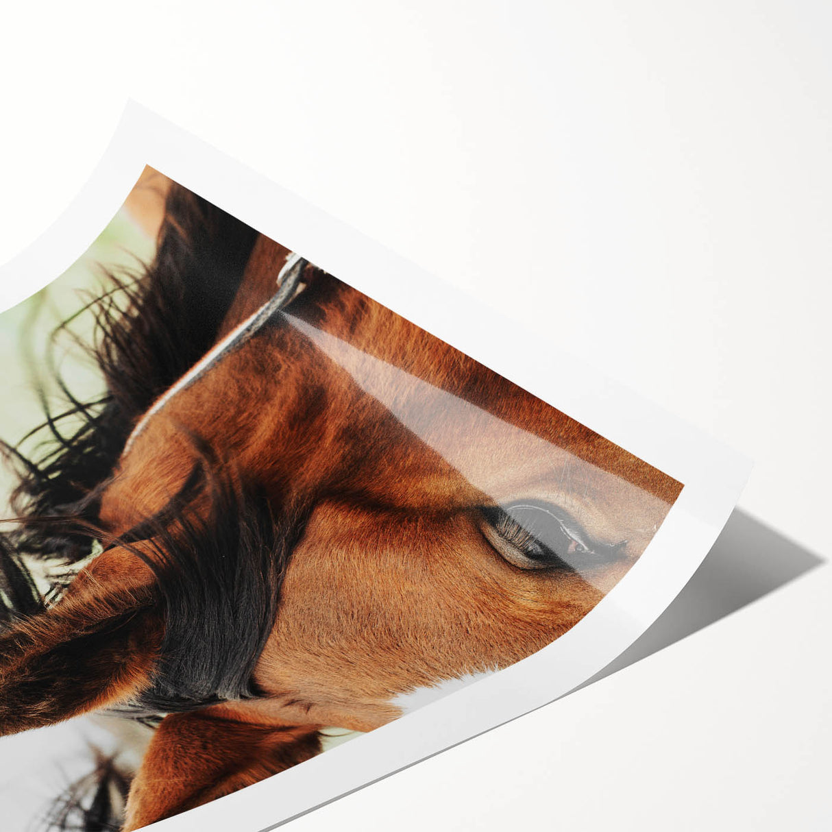 Rustic Horse Close-Up Wall Art – Farmhouse Decor with Natural Elegance