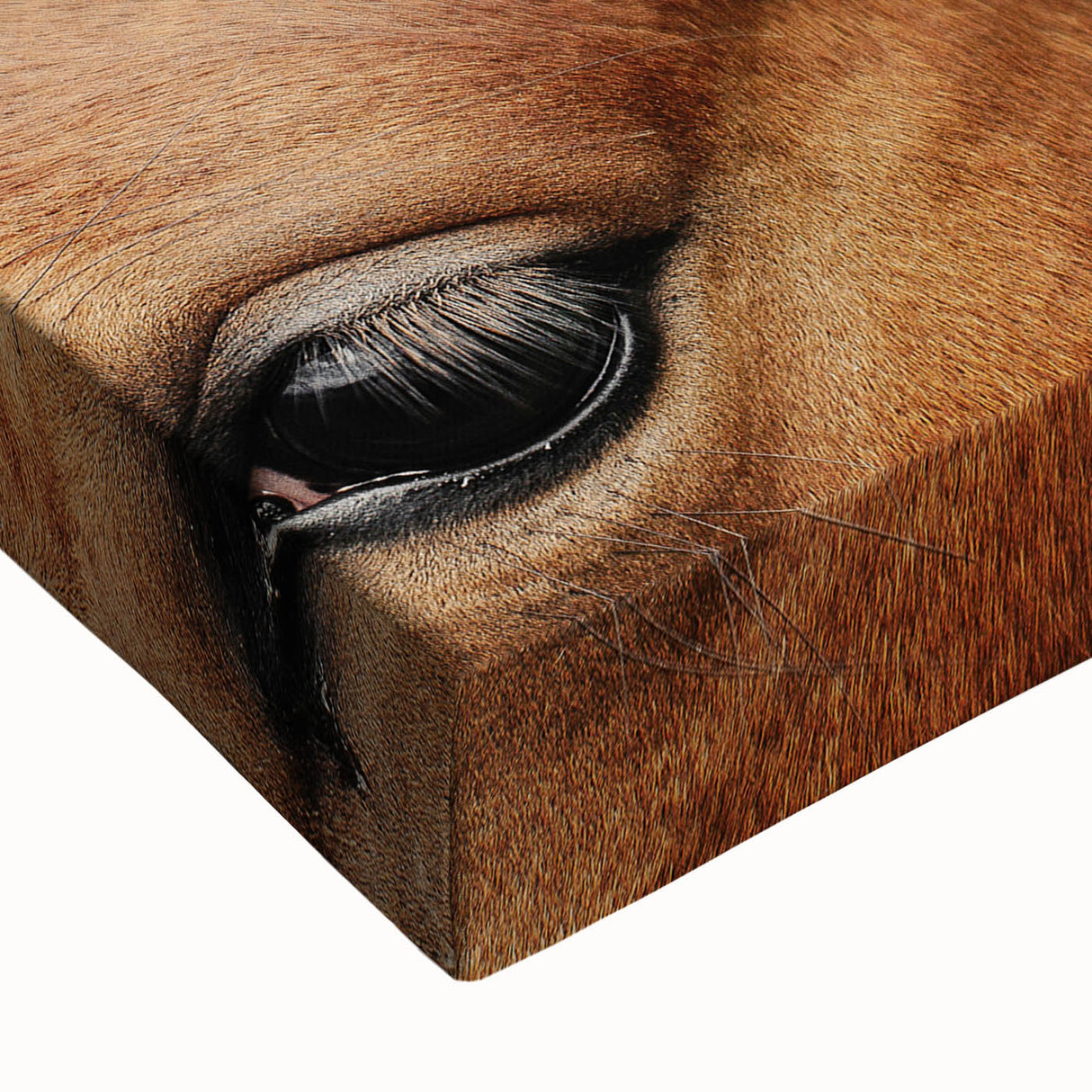 Rustic Horse Close-Up Wall Art – Farmhouse Decor with Natural Elegance