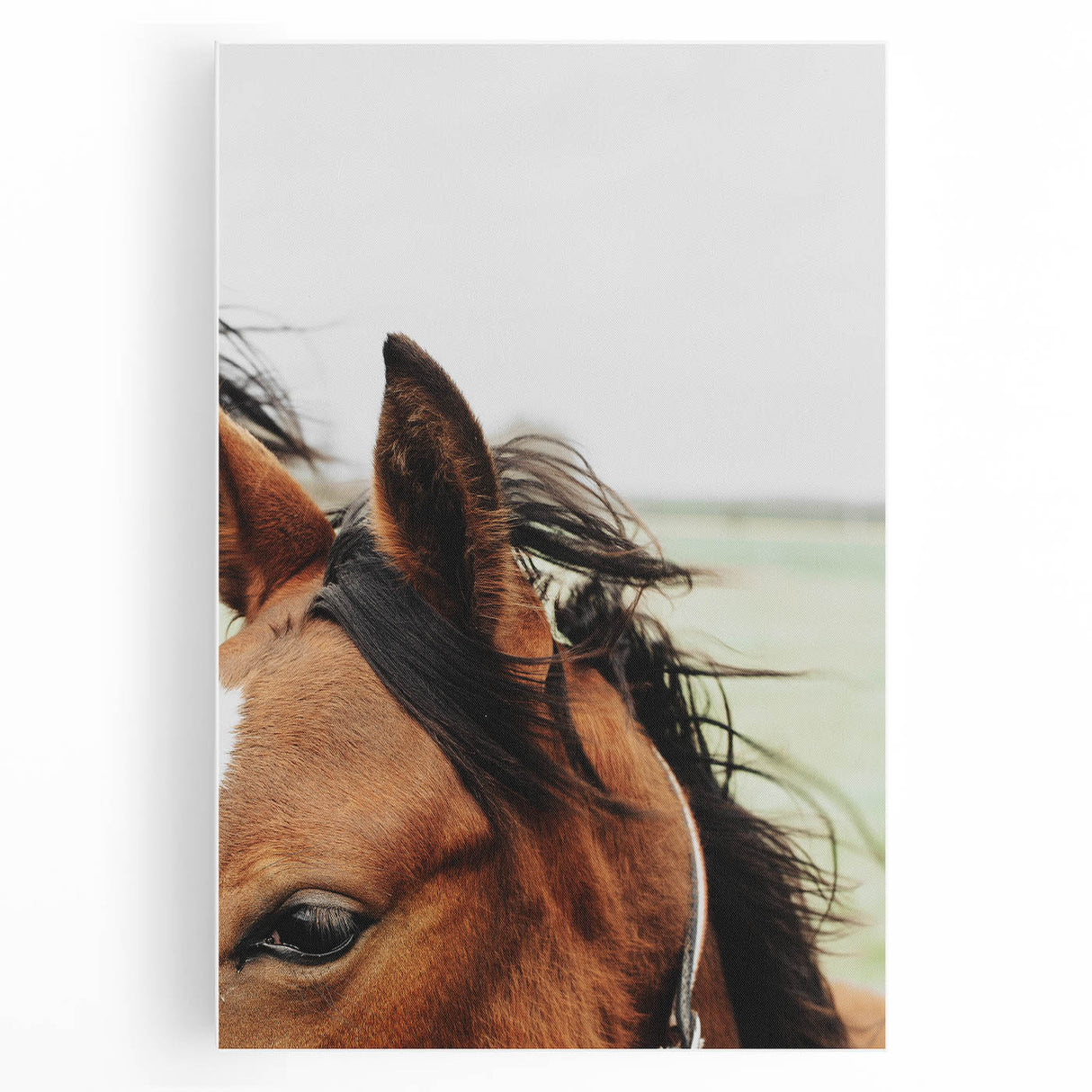 Rustic Horse Close-Up Wall Art – Farmhouse Decor with Natural Elegance