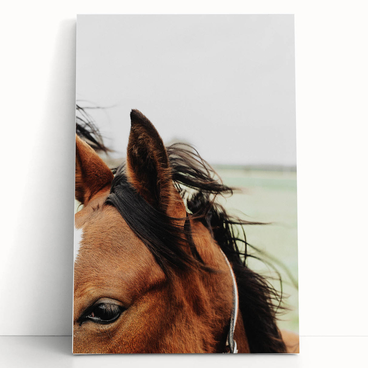 Rustic Horse Close-Up Wall Art – Farmhouse Decor with Natural Elegance