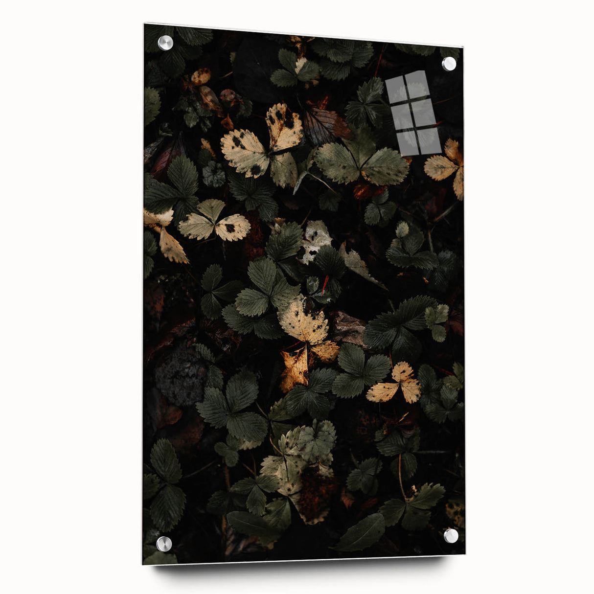 Rustic Forest Leaves Wall Art – Farmhouse Decor with Autumn Charm