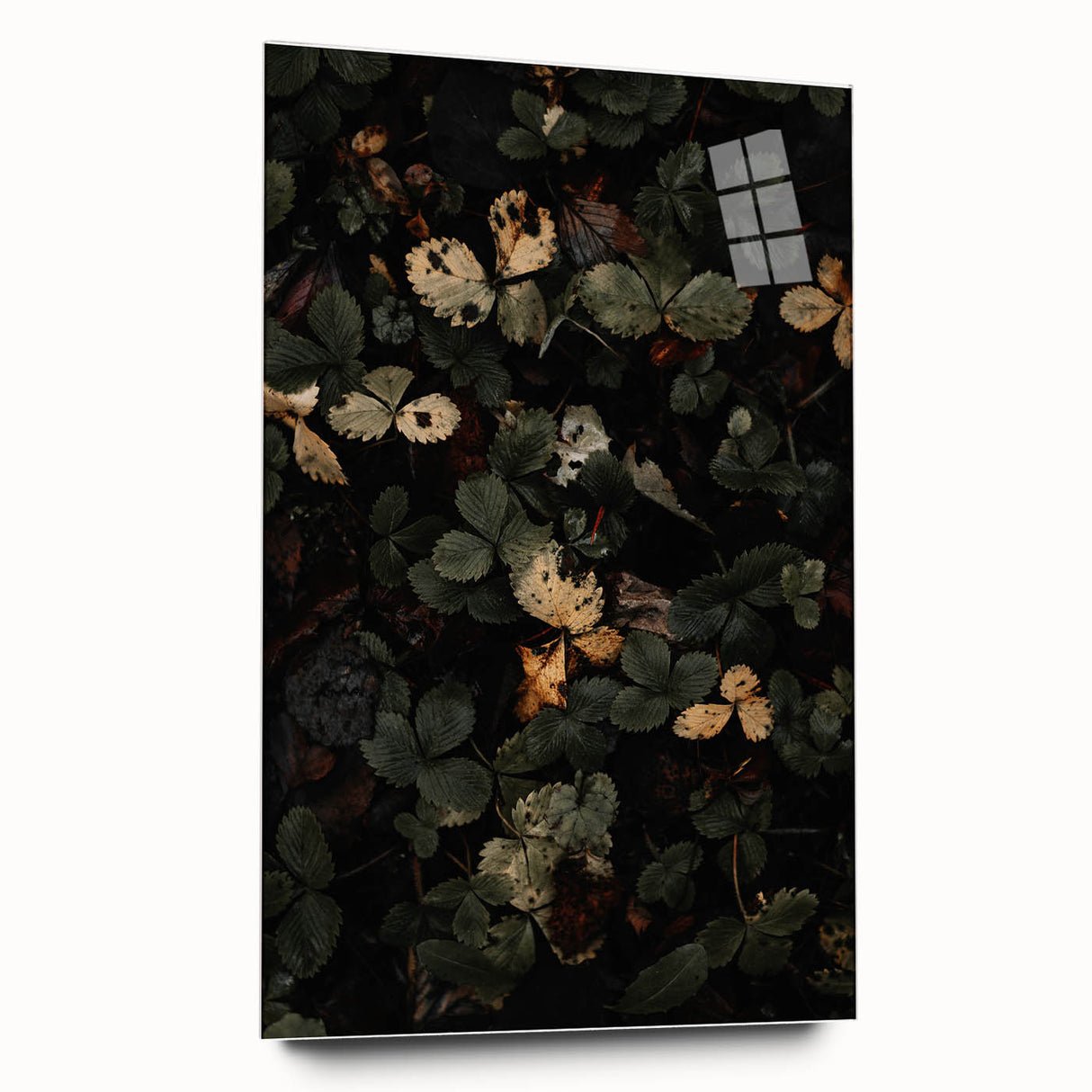 Rustic Forest Leaves Wall Art – Farmhouse Decor with Autumn Charm