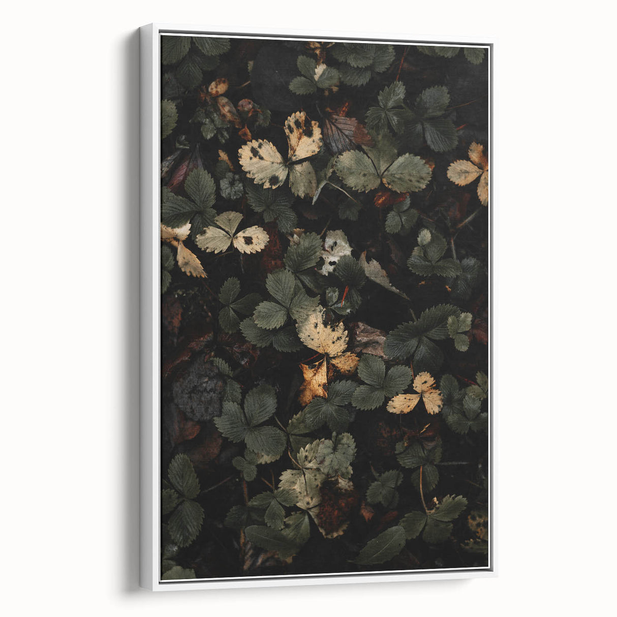 Rustic Forest Leaves Wall Art – Farmhouse Decor with Autumn Charm