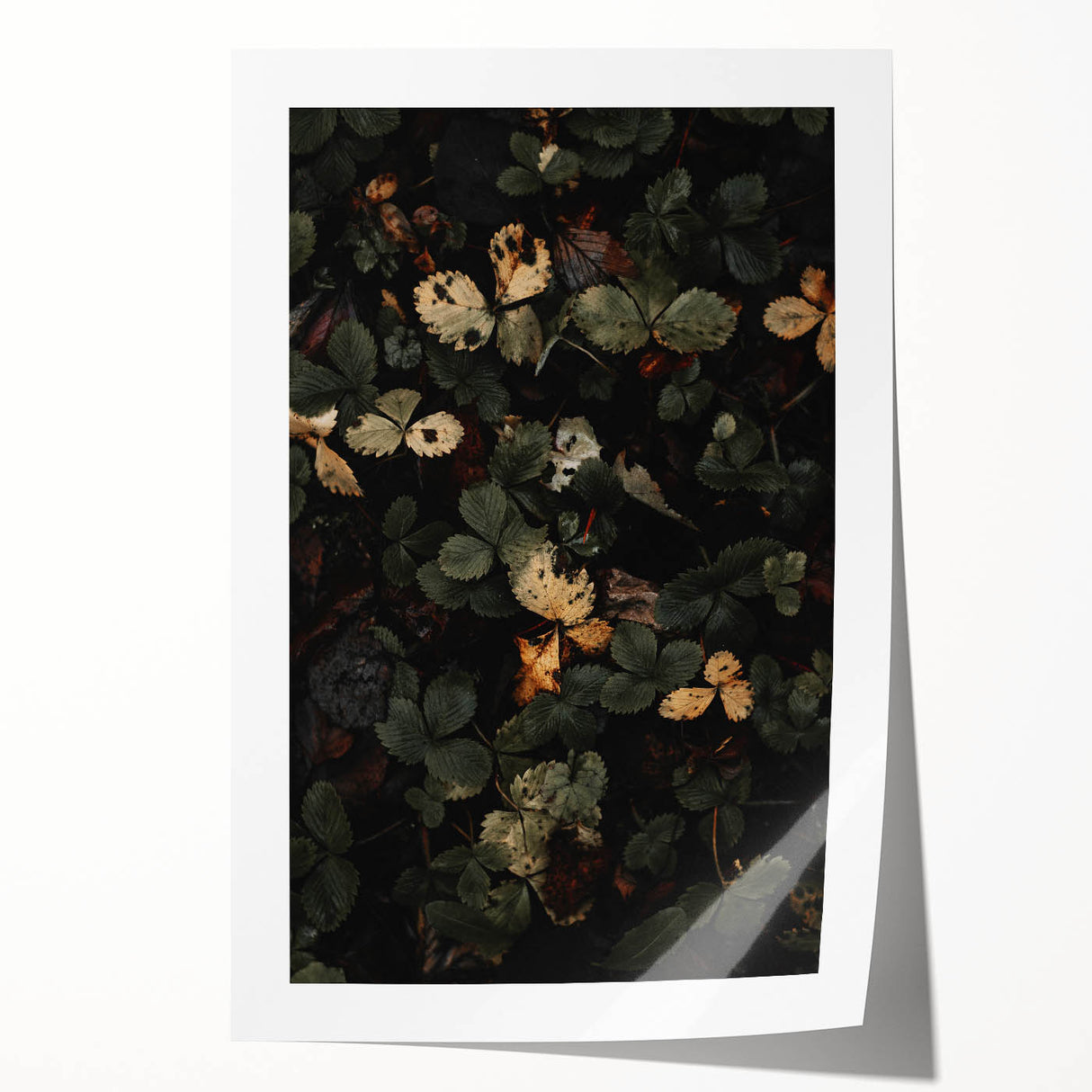 Rustic Forest Leaves Wall Art – Farmhouse Decor with Autumn Charm