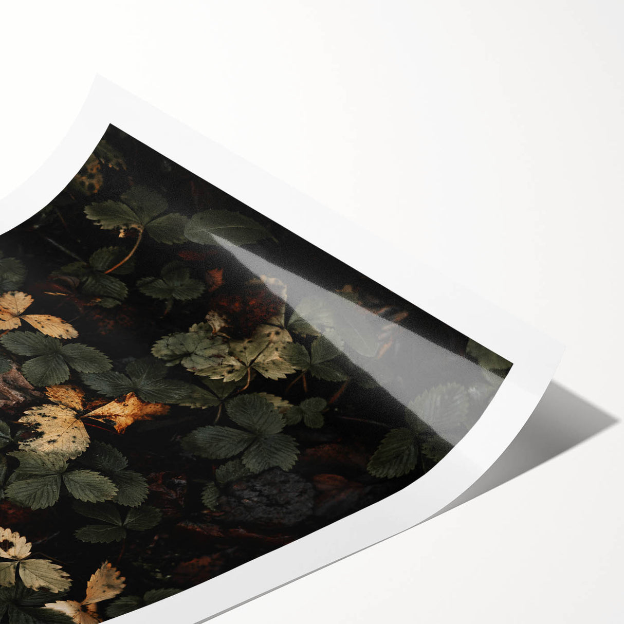 Rustic Forest Leaves Wall Art – Farmhouse Decor with Autumn Charm