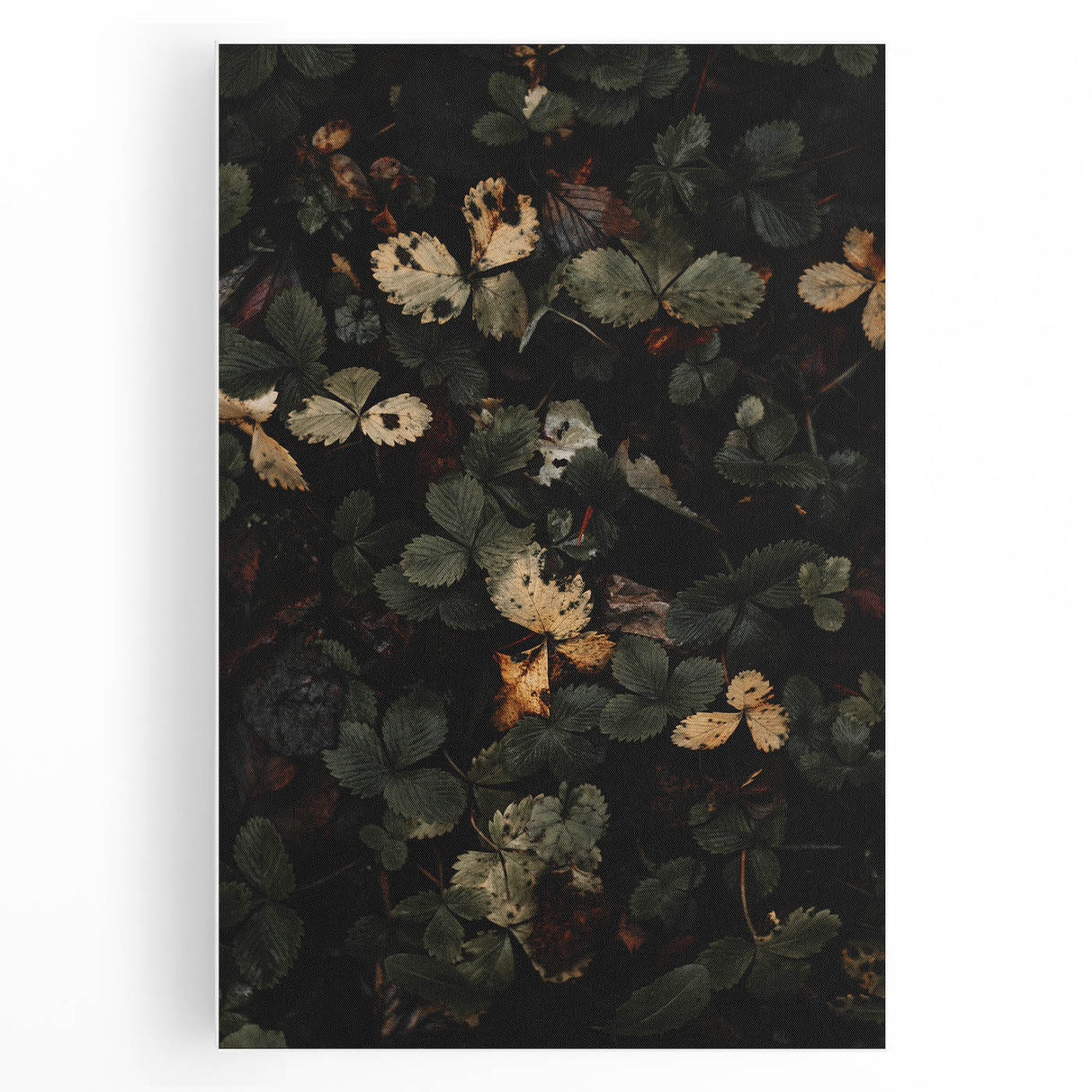 Rustic Forest Leaves Wall Art – Farmhouse Decor with Autumn Charm