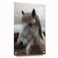 Rustic Horse Portrait Wall Art – Farmhouse Decor with Natural Charm