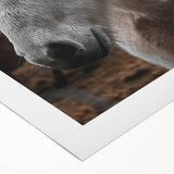 Rustic Horse Portrait Wall Art – Farmhouse Decor with Natural Charm