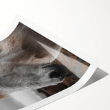 Rustic Horse Portrait Wall Art – Farmhouse Decor with Natural Charm