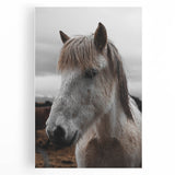 Rustic Horse Portrait Wall Art – Farmhouse Decor with Natural Charm