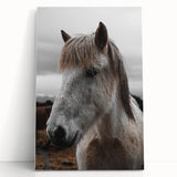 Rustic Horse Portrait Wall Art – Farmhouse Decor with Natural Charm