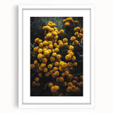 Rustic Yellow Flower Wall Art – Farmhouse Decor with Autumn Elegance