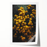 Rustic Yellow Flower Wall Art – Farmhouse Decor with Autumn Elegance