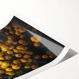 Rustic Yellow Flower Wall Art – Farmhouse Decor with Autumn Elegance