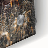 Sunset Highland Cattle Art, Rustic Country Wall Decor