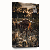 Sunset Highland Cattle Art, Rustic Country Wall Decor