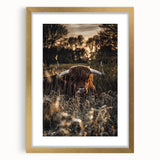 Sunset Highland Cattle Art, Rustic Country Wall Decor