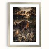 Sunset Highland Cattle Art, Rustic Country Wall Decor