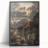 Sunset Highland Cattle Art, Rustic Country Wall Decor
