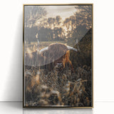 Sunset Highland Cattle Art, Rustic Country Wall Decor