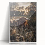 Sunset Highland Cattle Art, Rustic Country Wall Decor
