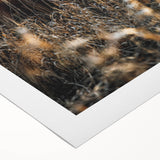 Sunset Highland Cattle Art, Rustic Country Wall Decor