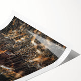 Sunset Highland Cattle Art, Rustic Country Wall Decor