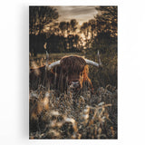 Sunset Highland Cattle Art, Rustic Country Wall Decor