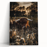 Sunset Highland Cattle Art, Rustic Country Wall Decor