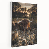 Sunset Highland Cattle Art, Rustic Country Wall Decor