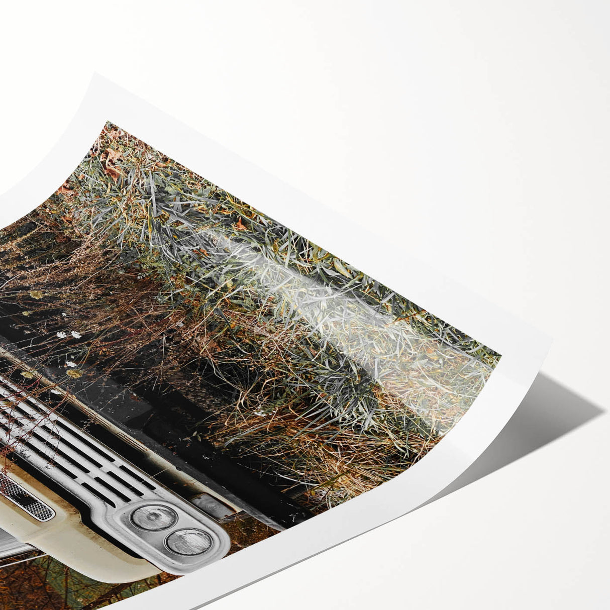 Rustic Wall Art: Vintage Abandoned Truck in Autumn Scene