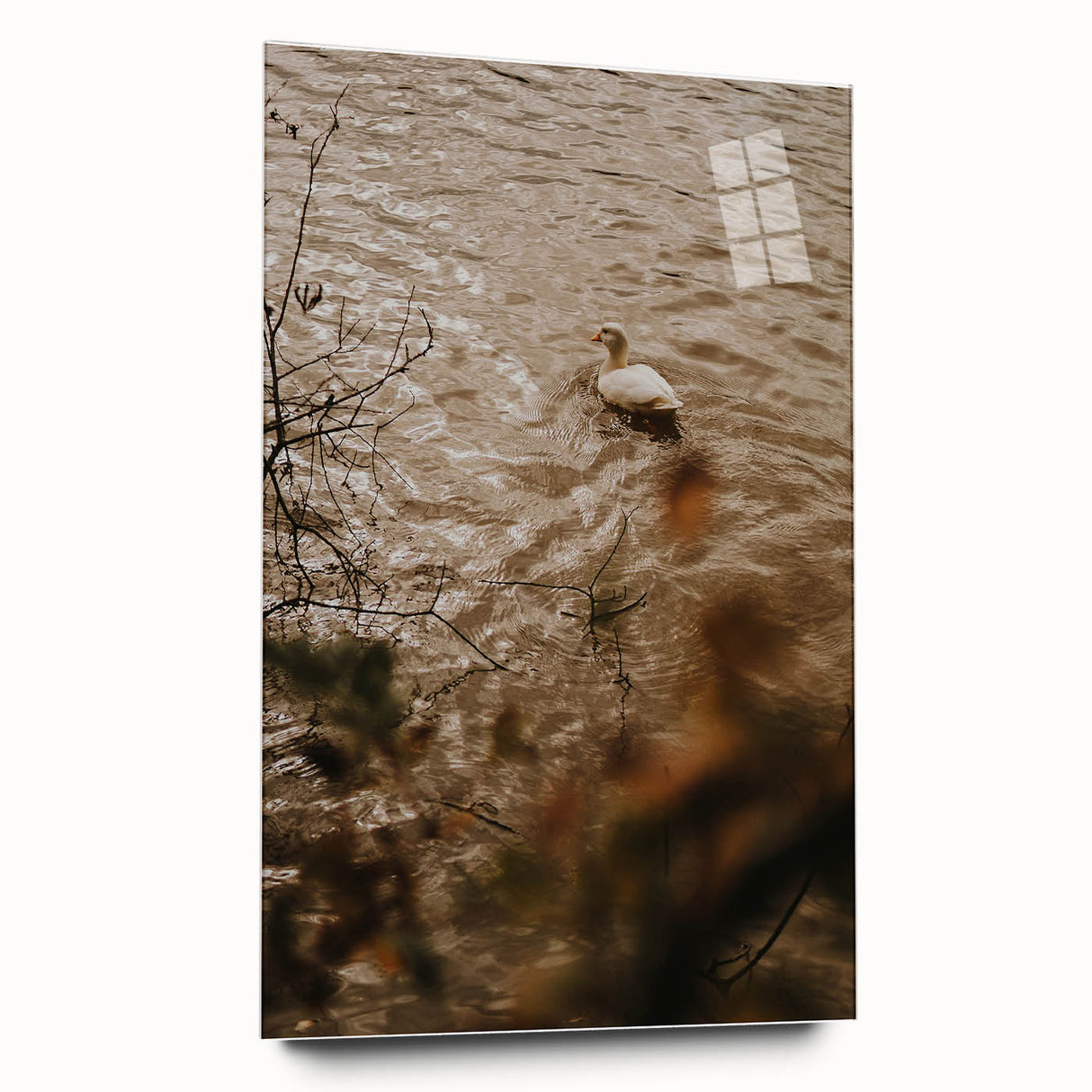 Rustic Wall Art of Duck on Water - Farmhouse Vintage Nature Scene