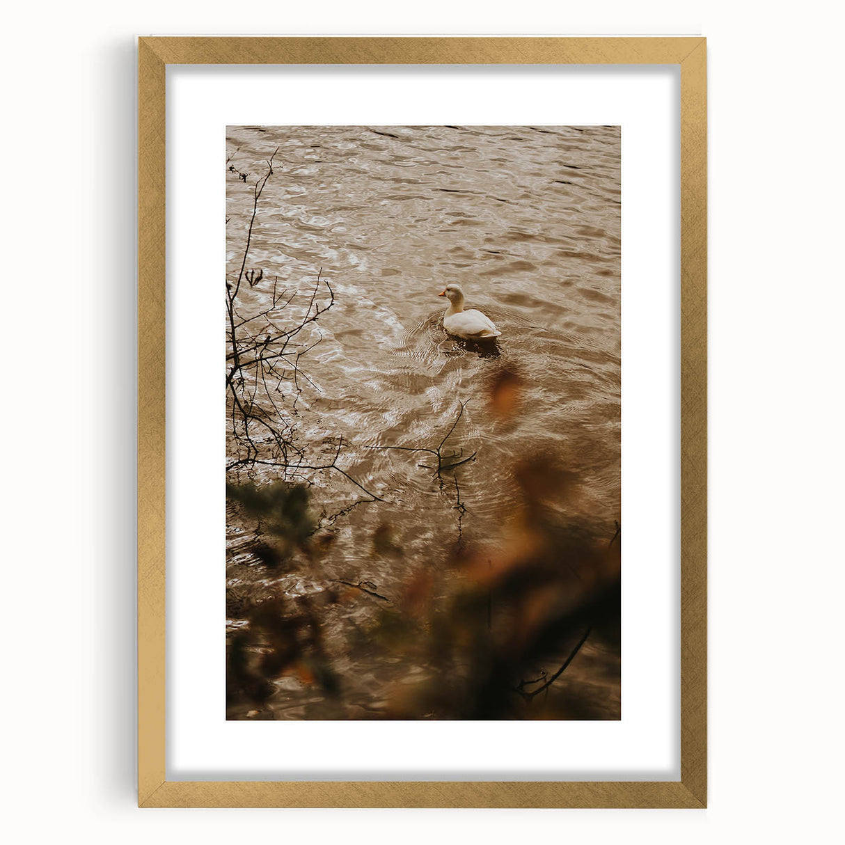 Rustic Wall Art of Duck on Water - Farmhouse Vintage Nature Scene