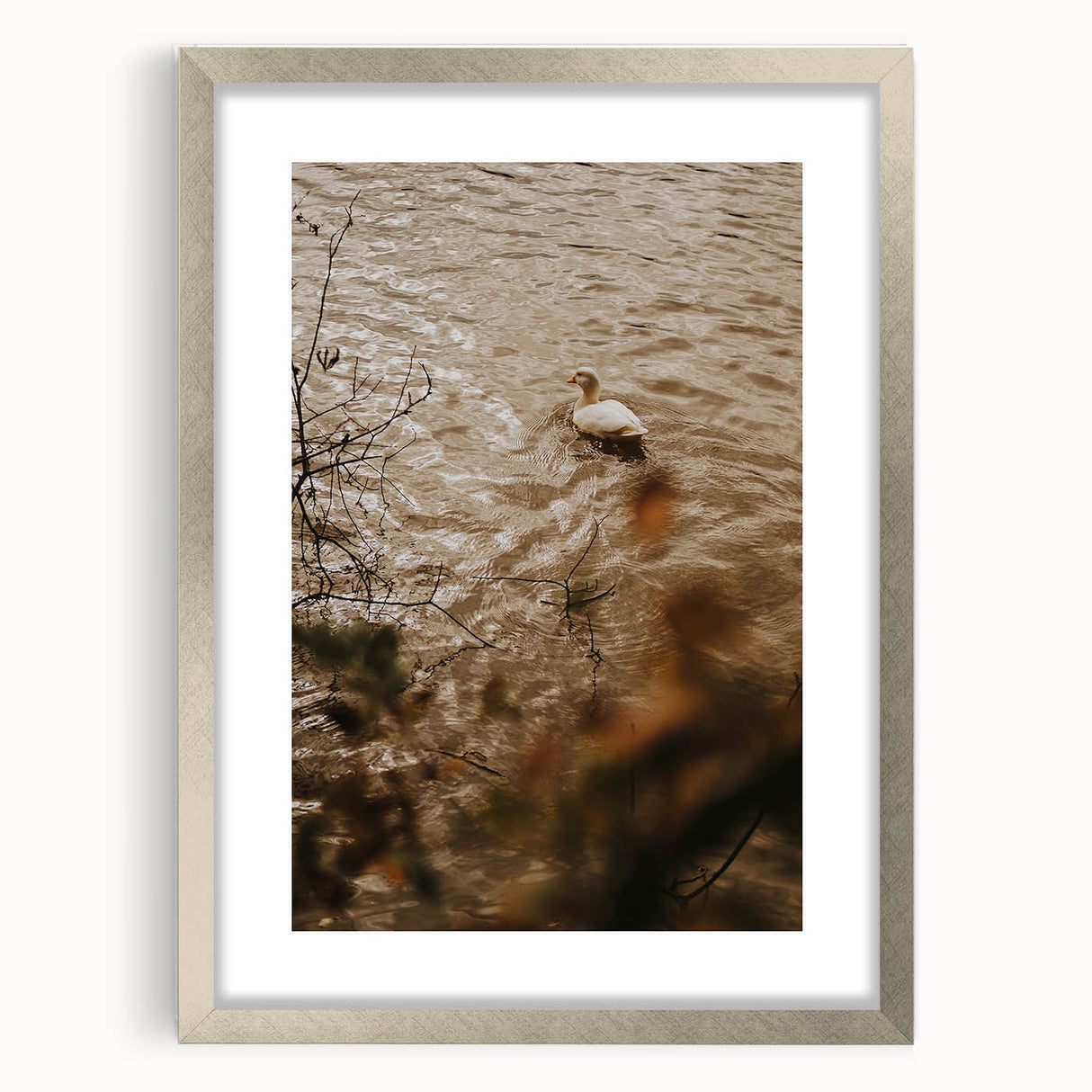 Rustic Wall Art of Duck on Water - Farmhouse Vintage Nature Scene