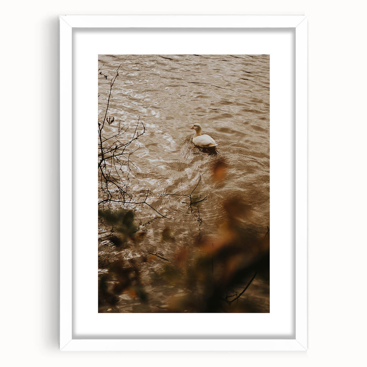 Rustic Wall Art of Duck on Water - Farmhouse Vintage Nature Scene