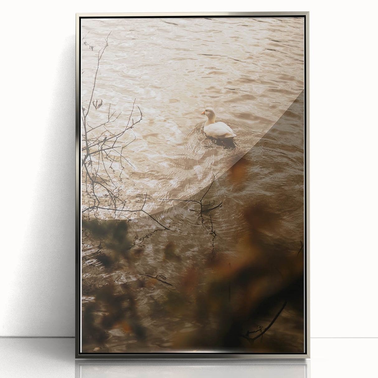 Rustic Wall Art of Duck on Water - Farmhouse Vintage Nature Scene
